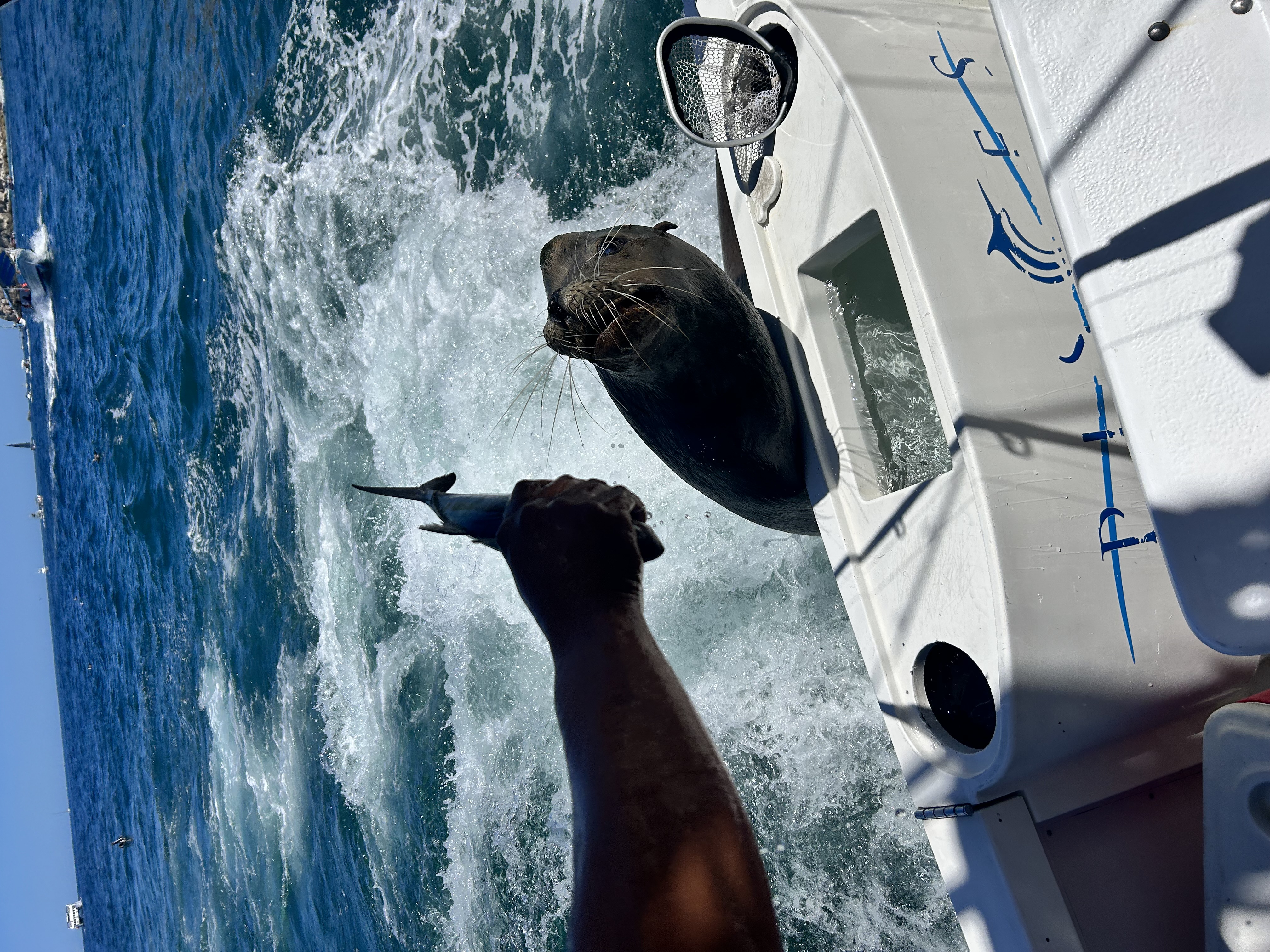 Fishing